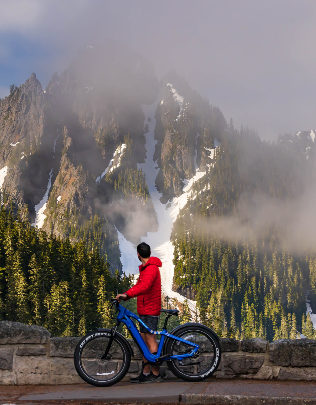 Fat Tire e-Bikes