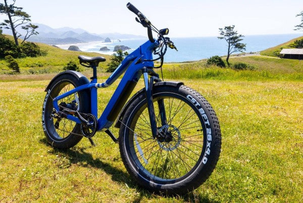 okai electric bike collection