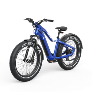Ranger EB50 eBike
