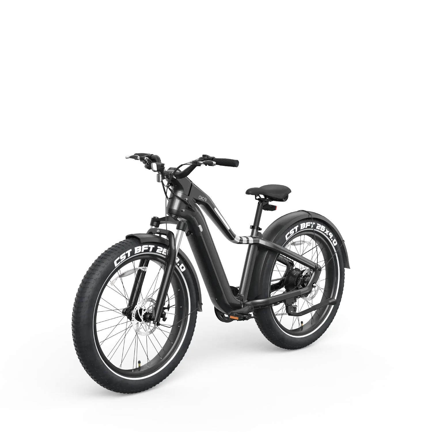 Ranger EB50 eBike