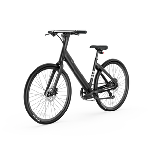 LyteCycle EB60 eBike