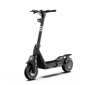 Panther ES800 Off-Road eScooter