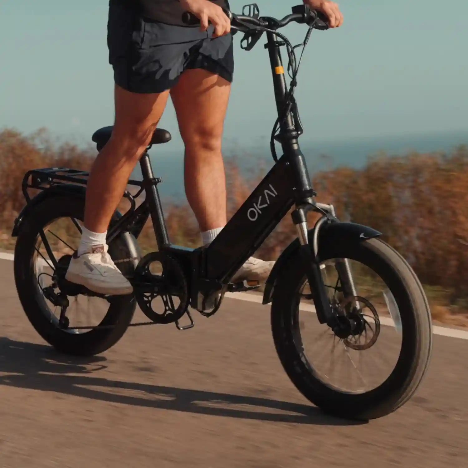 FlexMov EBF10 Folding eBike
