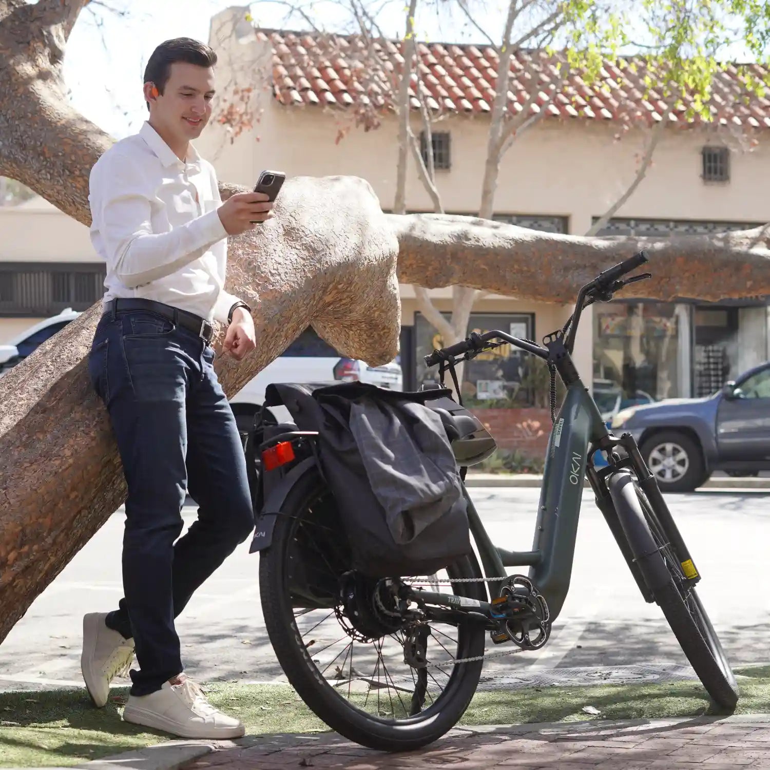 TraVRS EB80 eBike