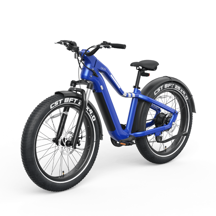 Ranger EB50 eBike