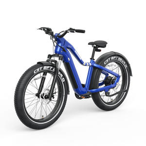 Ranger EB50 eBike