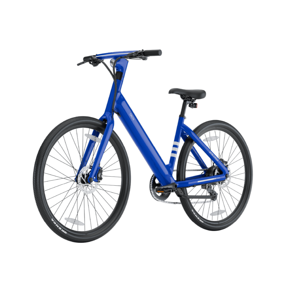 LyteCycle EB60 eBike