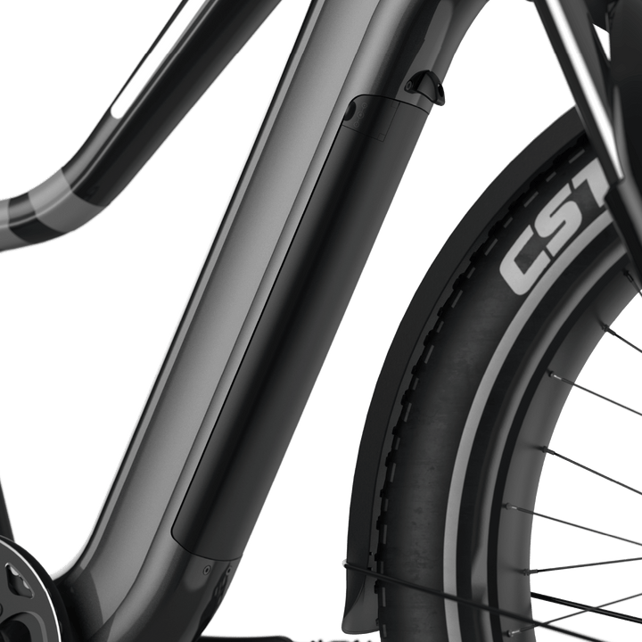 Ranger EB50 eBike