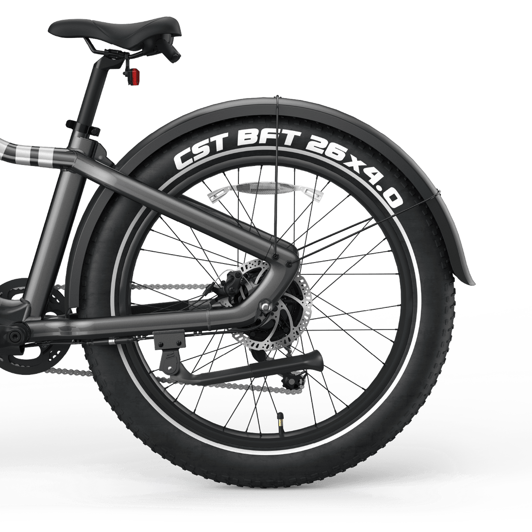 Ranger EB50 eBike