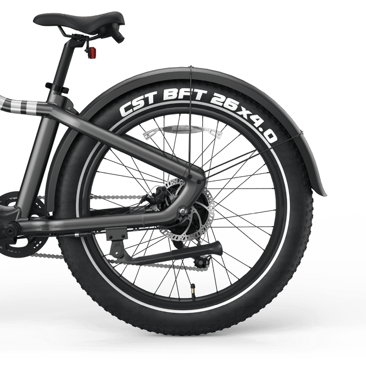 Ranger EB50 eBike