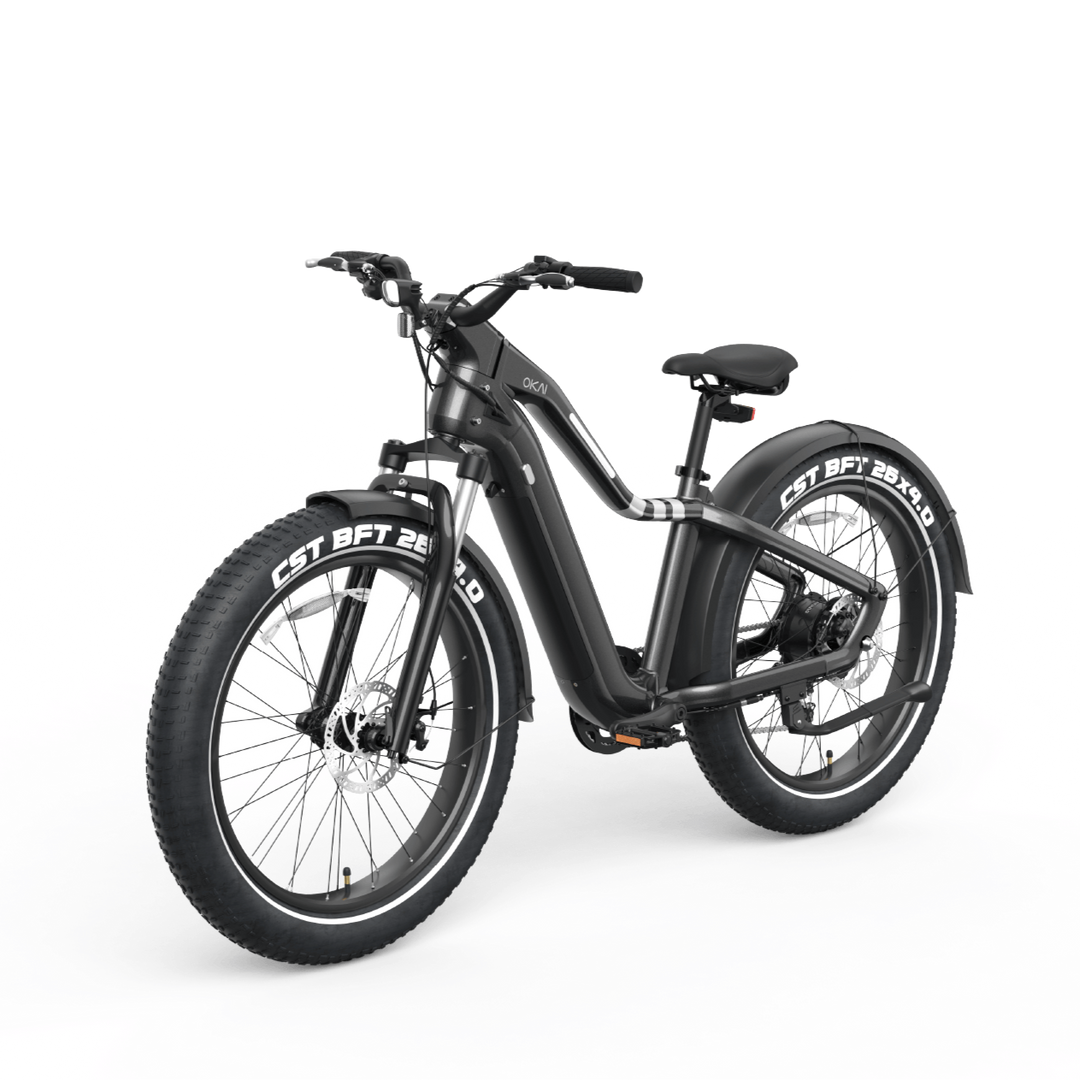 Ranger EB50 eBike