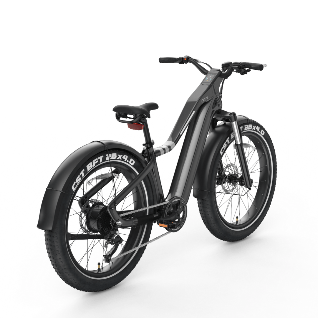 Ranger EB50 eBike