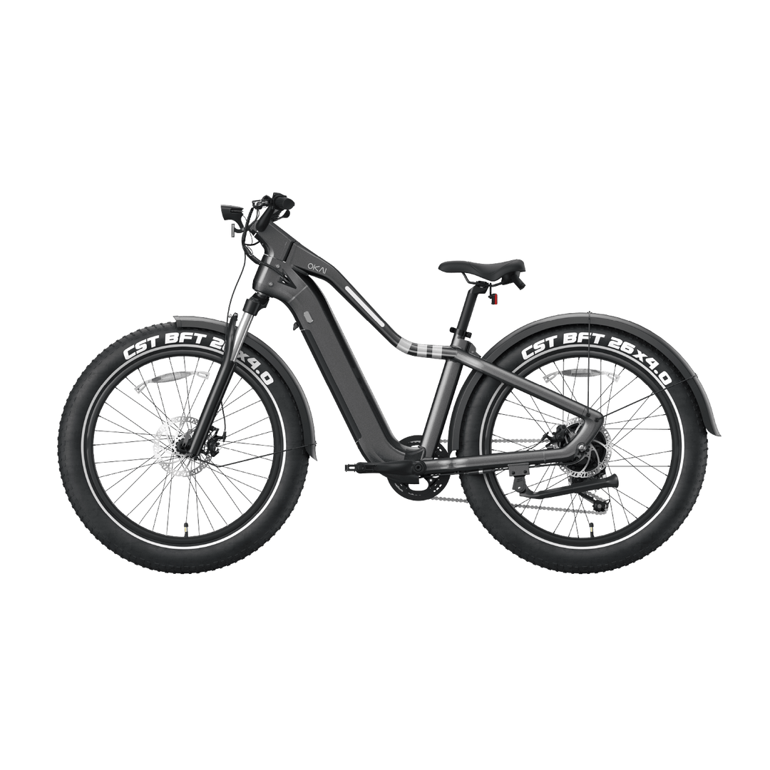 Ranger EB50 eBike