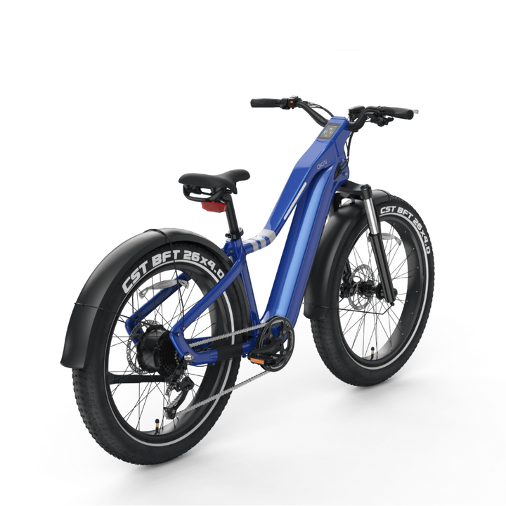 Ranger EB50 eBike