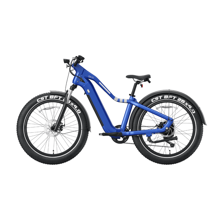 Ranger EB50 eBike