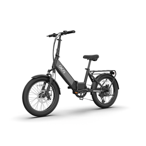 FlexMov EBF10 Folding eBike