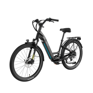 TraVRS EB80 eBike