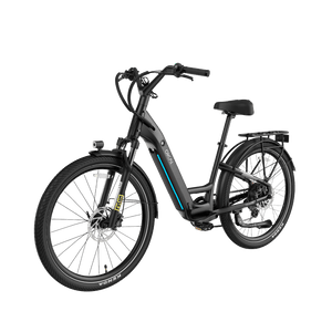 TraVRS EB80 eBike