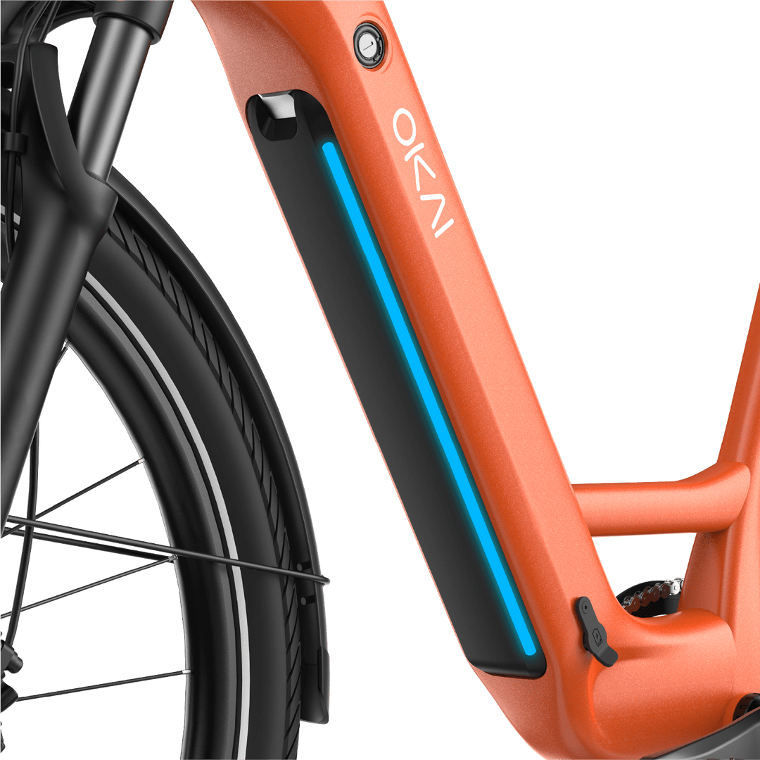 TraVRS EB80 eBike