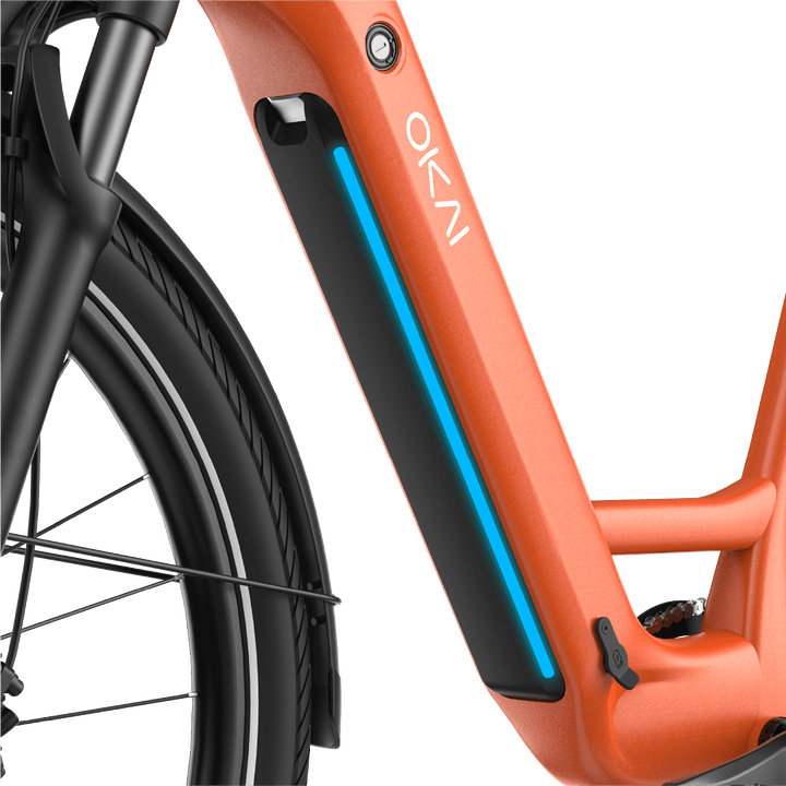 TraVRS EB80 eBike