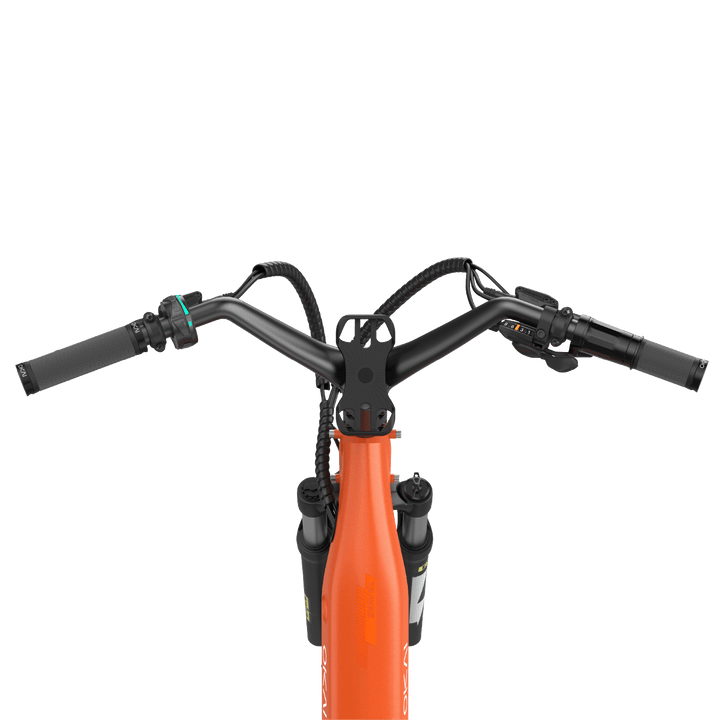 TraVRS EB80 eBike